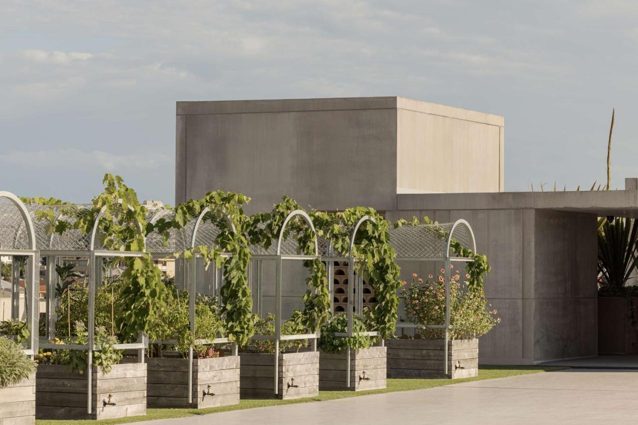 The Calile Hotel Brisbane Exteriör bild The winery at H.L. Stubb's vineyard